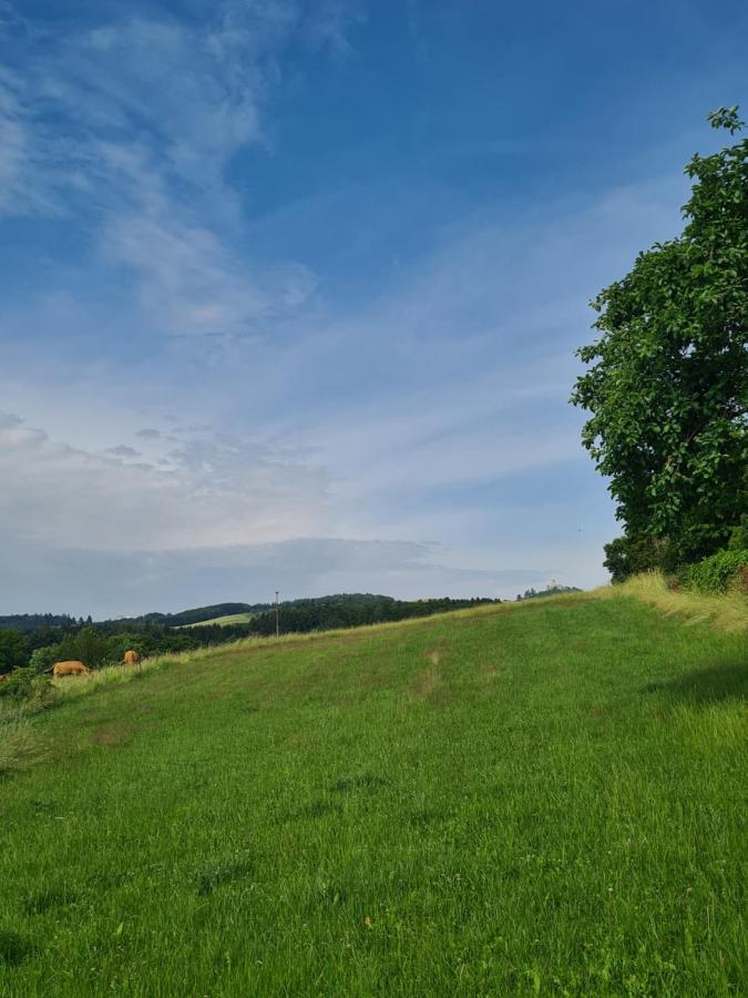 Pensionszimmer Larifari Drees Exterior foto